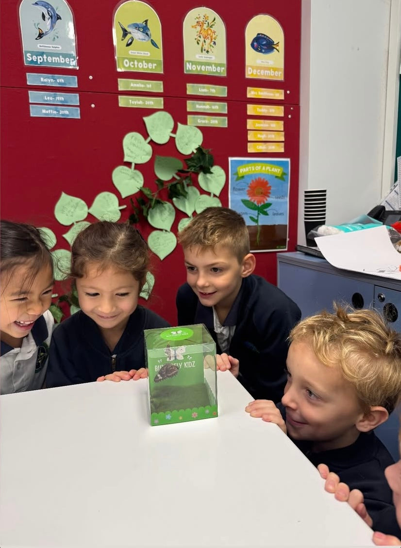 Bring the classroom to life