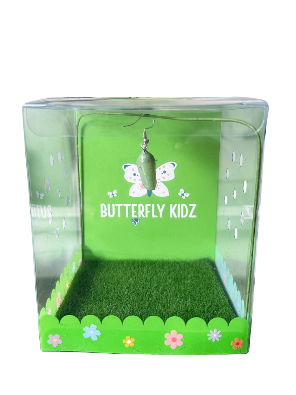 Butterfly Kit Classroom Pack