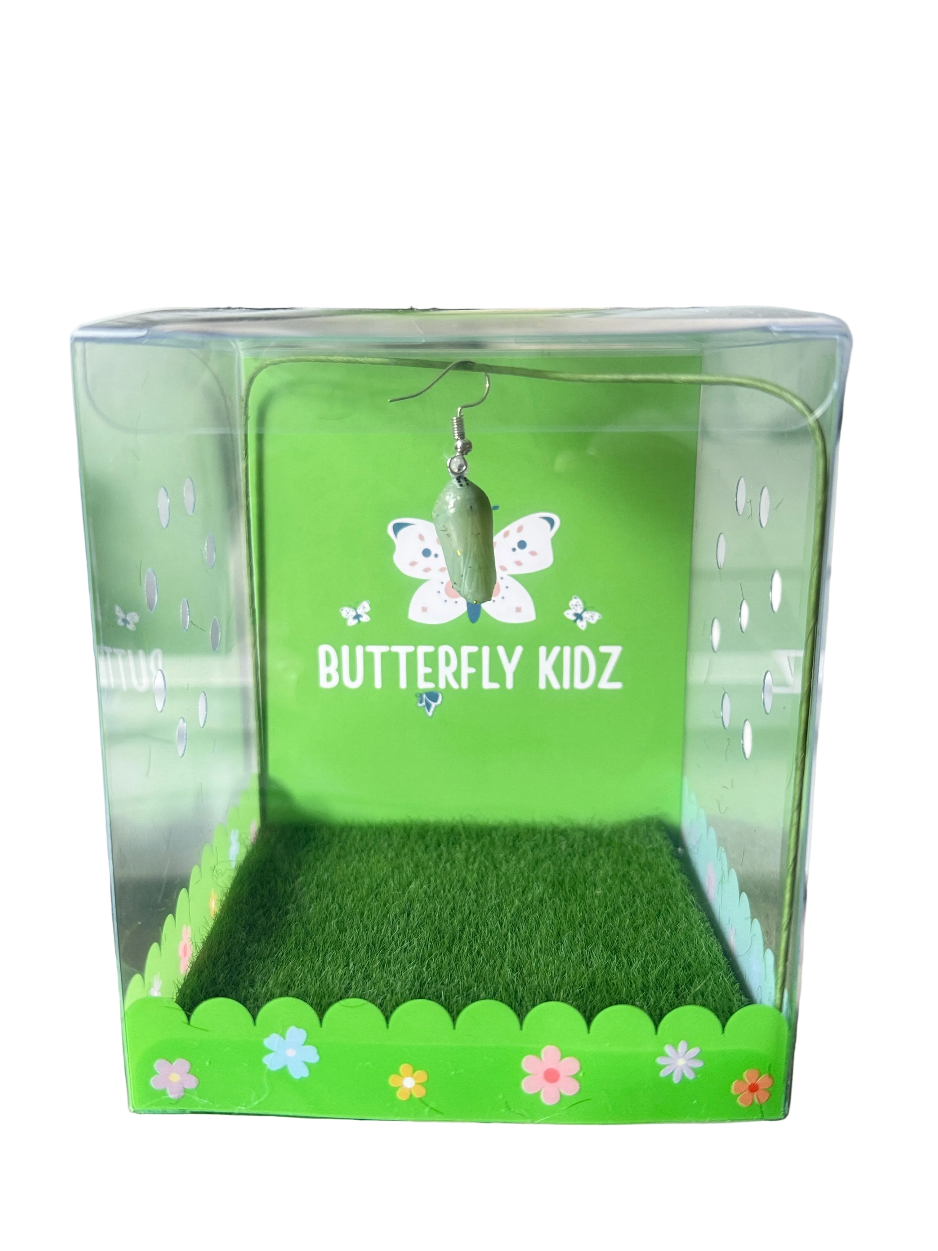 Butterfly Kit Classroom Pack