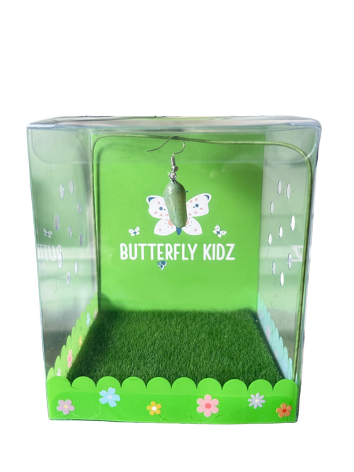 Butterfly Kit Classroom Pack