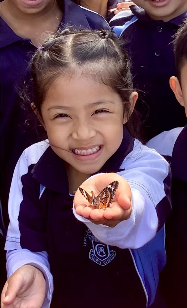 @butterflykidz