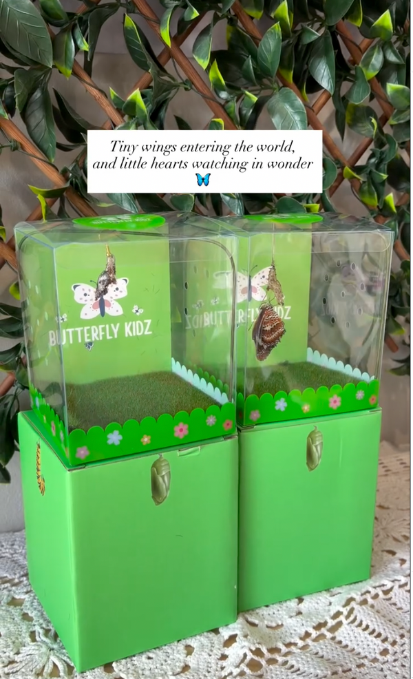 @butterflykidz