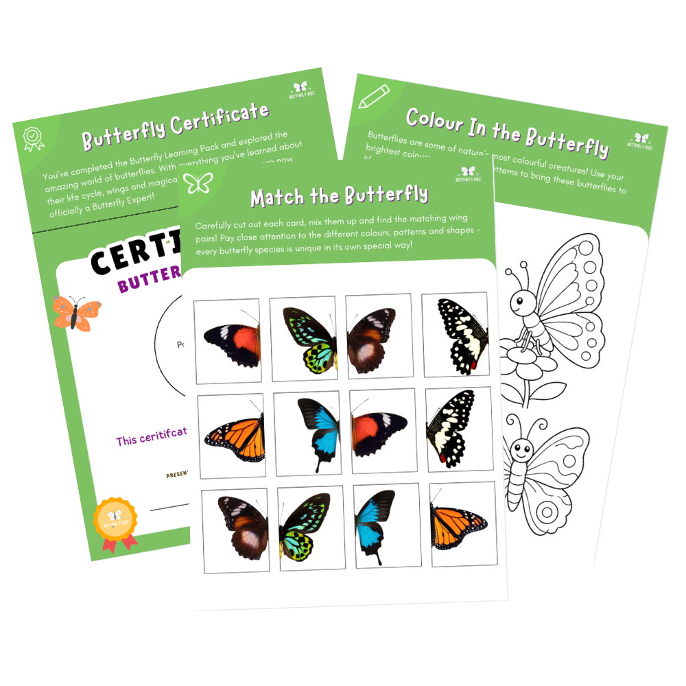 Butterfly Kit Classroom Pack