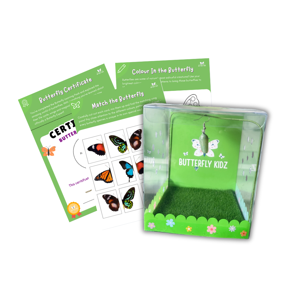 Butterfly Kit Classroom Pack