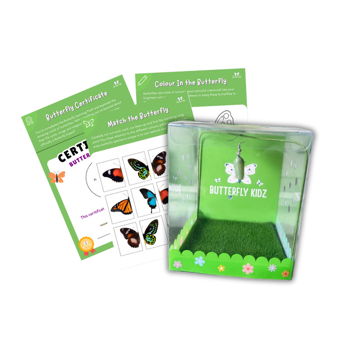 Butterfly Kit Classroom Pack